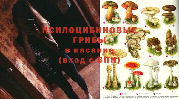 apvp Надым