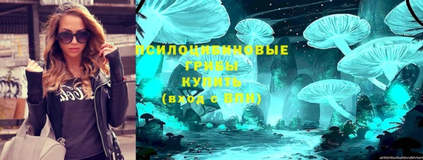 apvp Надым