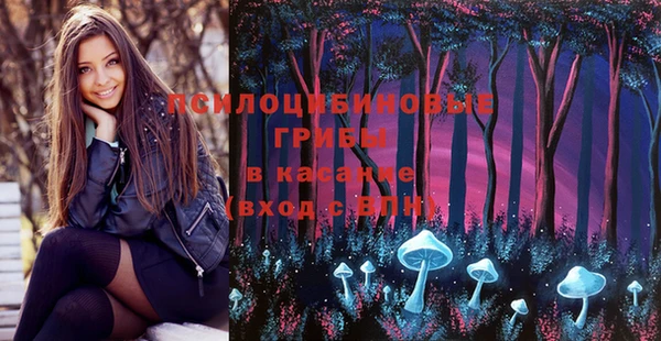 ECSTASY Михайловка