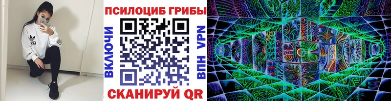 Псилоцибиновые грибы GOLDEN TEACHER  купить наркотик  Моздок 