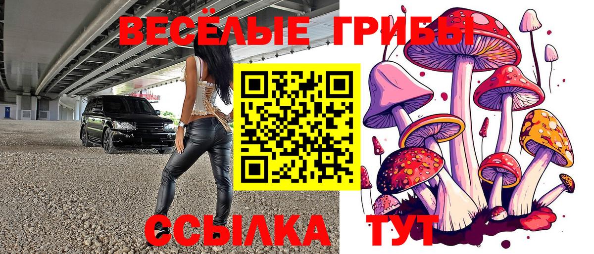 Моздок  Галлюциногенные грибы Cubensis  Вход с VPN 