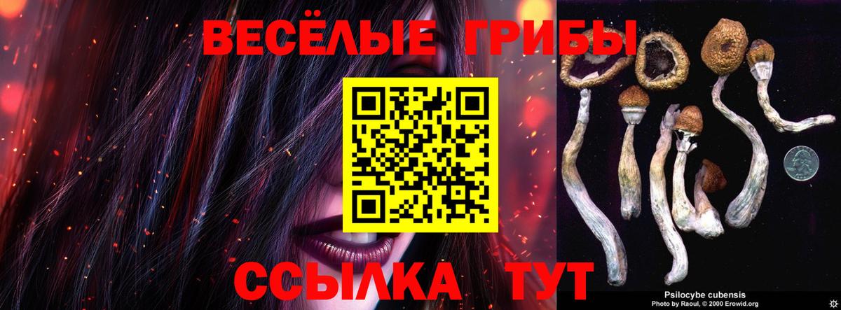 Псилоцибиновые грибы мицелий Моздок